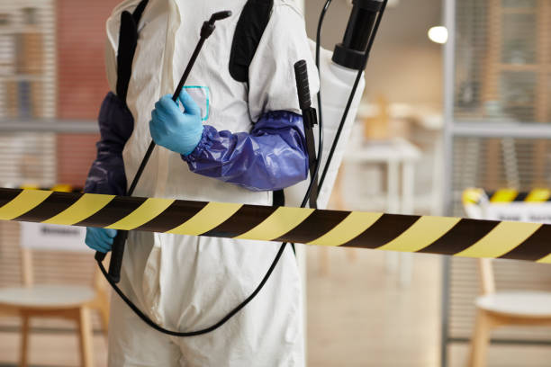 Professional Odor Removal technician working in Line Lexington, PA