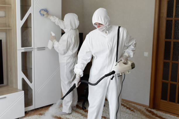 24/7 Emergency Odor Removal experts in Line Lexington, PA